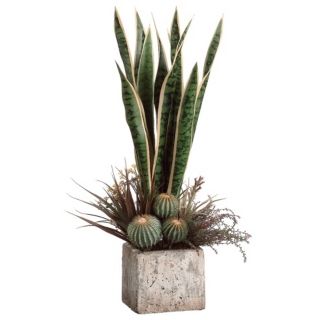 Sanseveria, Lavender and Cactus Garden Arrangement   #R8436