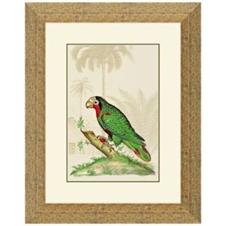 Parrot Italian I 19 1/2" High Framed Bird Wall Art   #X2216