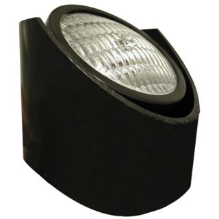 Black PAR36 Outdoor Well Landscape Light   #40122