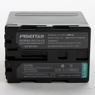 PISEN batterie rechargeable équivalente pour Sony MVC CD250, 9e, 110e