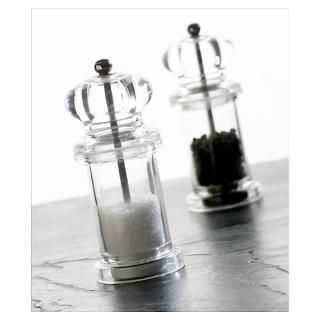 Wall Art  Posters  Salt and pepper mills Poster