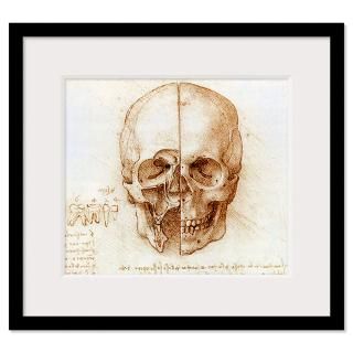 Skull anatomy by Leonardo da Vinci Framed Print