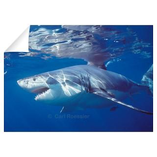 Wall Art  Wall Decals  Great white shark on attack