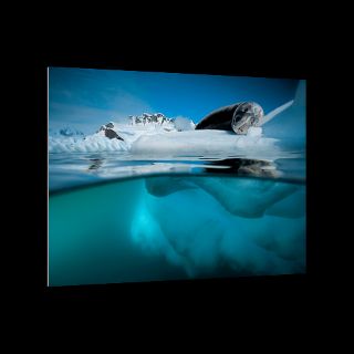 Antarctic Peninsula, Antarctica  National Geographic Art Store
