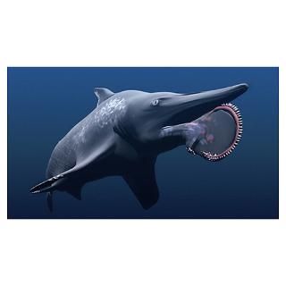 Wall Art  Posters  Helicoprion prehistoric shark