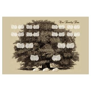 Wall Art  Posters  Family Tree 3 Acorns Poster