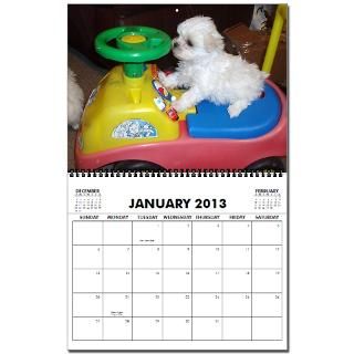 2010 Maltese Puppy Calendar for 2013
