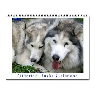 Gifts  Blue Eyes Home Office  Siberian Husky 2008 Wall Calendar