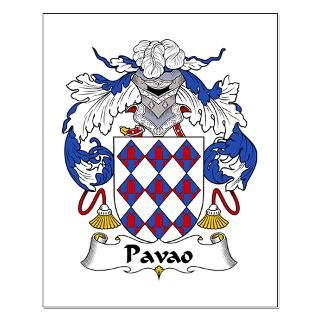 size 13 3 x 16 4 view larger pavao family crest small poster pavao