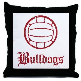 Varsity Pillows Varsity Throw & Suede Pillows  Personalized