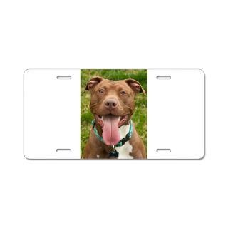 Pit Bull 13 Aluminum License Plate for $19.50