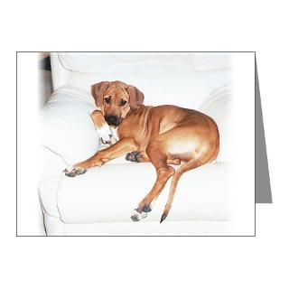 Gifts  Dogs Note Cards  JUBA LEE RIDGEBACK Note Cards (Pk of 20