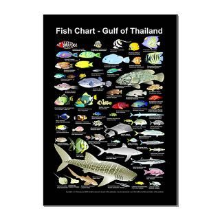 Fish Identification Chart 23x35in Large Poster  Dive Indeep   designs