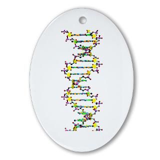 Gifts  Biology Home Decor  DNA #30 on white Ornament (Oval