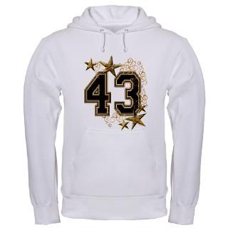 43 Gifts  43 Sweatshirts & Hoodies  43 Graphic Pitts Hoodie