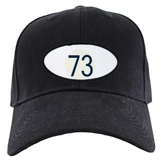 Sheldons 73 Shirt Baseball Hat