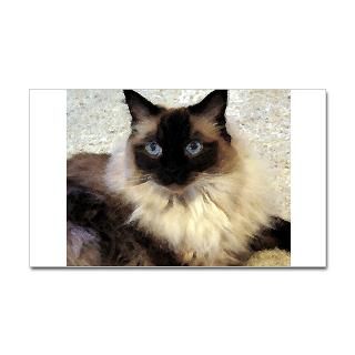 The Ragdoll Cat Guide Store