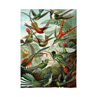 Ernst Haeckel Hummingbirds 84 Curtains for $88.00