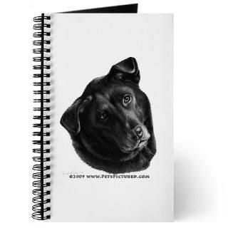 Corvis, Black Lab Mix  PetsPictured Gear and Gifts