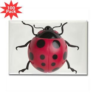 Gifts  Artwork Magnets  ladybug Rectangle Magnet (100 pack