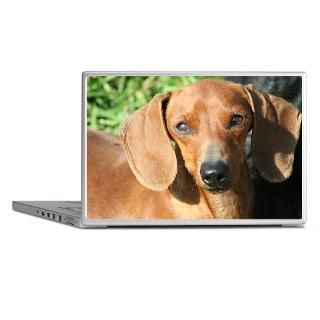 Animal Gifts  Animal Laptop Skins  Dachshund (Red) Laptop Skin