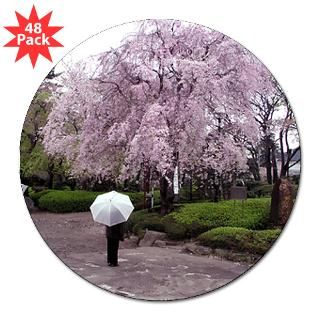 116 39 cherry blossoms umbrella bumper sticker 10 pk $ 32 39 cherry