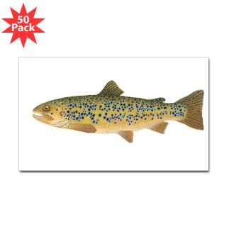 brown trout rectangle sticker 50 pk $ 113 99