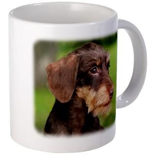 dachshund 9y426d 124 mug