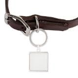 Custom Pet Tags & Luggage Tags  Personalize Your Own