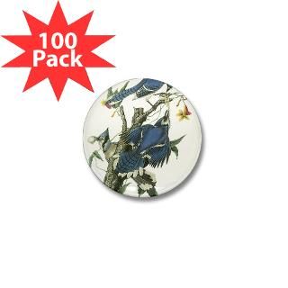 Blue Jay Mini Button (100 pack)