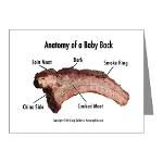 Anatomy of a Baby Back Rib  Food & Drink Gear from AmazingRibs