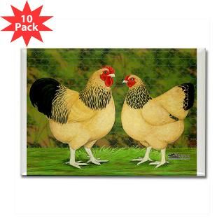 Wyandotte Rooster and Hen  Diane Jacky On Line Catalog