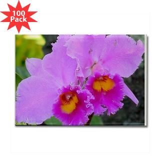 lavender orchids rectangle magnet 100 pack $ 178 19