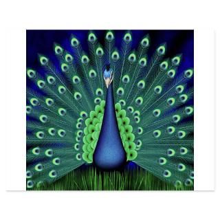 Peacock Invitations  Peacock Invitation Templates  Personalize