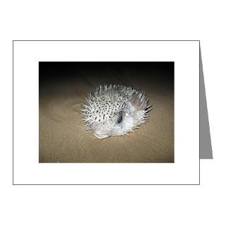 Puffer Fish Gifts & Merchandise  Puffer Fish Gift Ideas  Unique