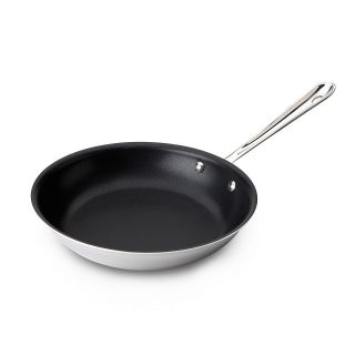 All Clad 10 Stainless Steel Nonstick Fry Pan