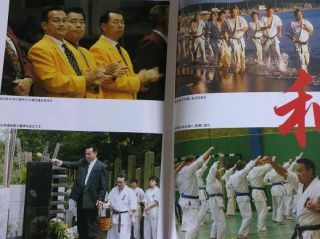 Kenji Midori Shin Kyokushin karate book WKO Shinkyokushinkai Martial