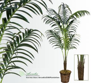 Kentia Palm Artificial Trees Silk Plant 667