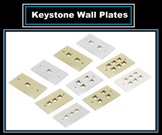 Surround Sound Speaker Wire Cable Keystone Wall Plate