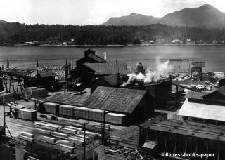Ketchikan Spruce Mills Alaska Logging Lumber Photo 1946