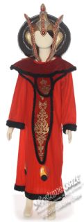 Child Large Deluxe Girls Queen Amidala Costume Star W
