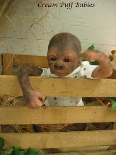 Reborn Gorilla Monkey Doll Kiwi by Denise Pratt and Cream Puff Babies