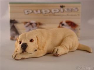 Country Artists Puppies Labrador Puppy Lying New 03283