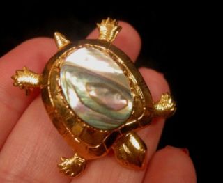 Metal Abalone Shell Turtle Brooch Pin Cab Land Turtle Jewelry