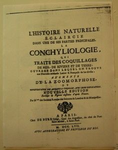 Lamarck Histoire Bivalve Reguliere Antique Print 1789 PL 223