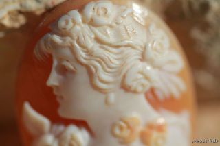 Large Antique Italian Hand Carved Left Facing Shell Cameo Unset No