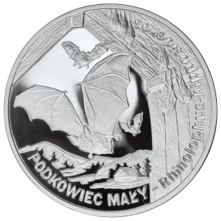 Big Silver Coin AG 925 Bat Podkowiec 2010 20 Poland Zlotys