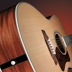 Walden All Wood Lefty Left Handed Acoustic Guitar 570L Model Concert