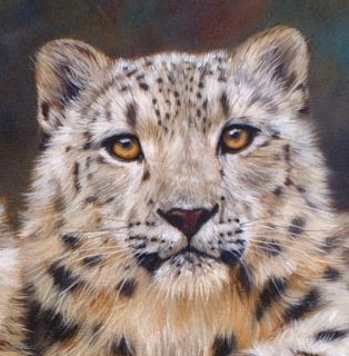 Snow Leopards Superb New David Stribbling Oil Painting