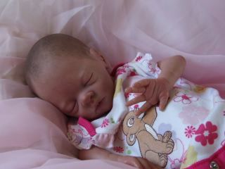 Stunning Reborn Baby Girl Daisy by Lesley Summers Little Rascals